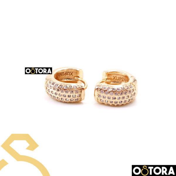 Earring Gold Plated k18 For Woman From XP