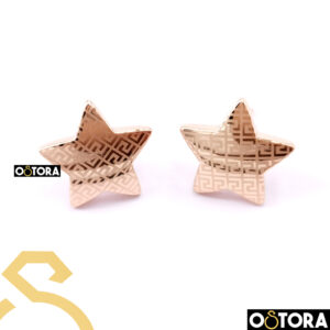 XP Earring Gold Plated k18